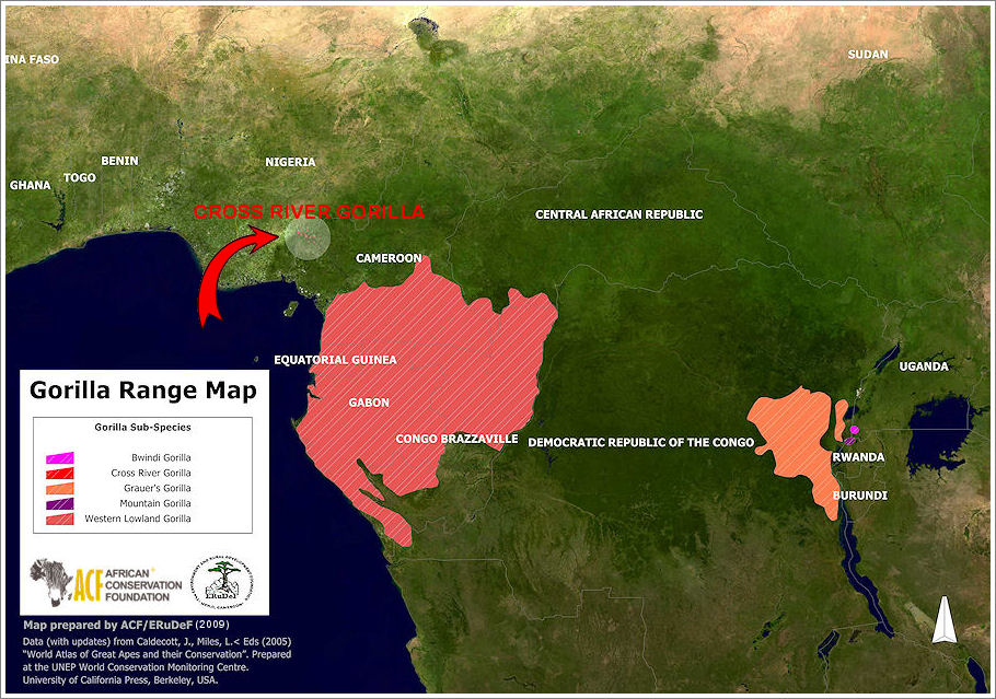 Gorilla Ranges in Africa - Map