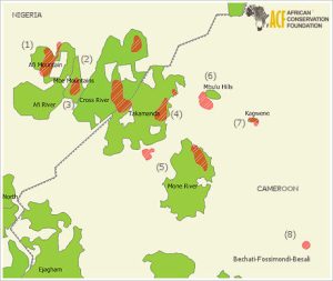 Cross River Gorilla Distribution Map