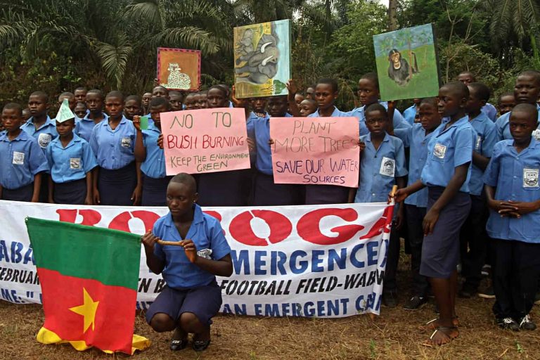 Cameroon: Environmental Education leaves classrooms