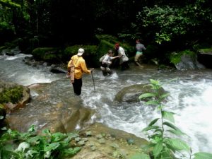 Crossing a river - Cross River Gorilla volunteer expedition