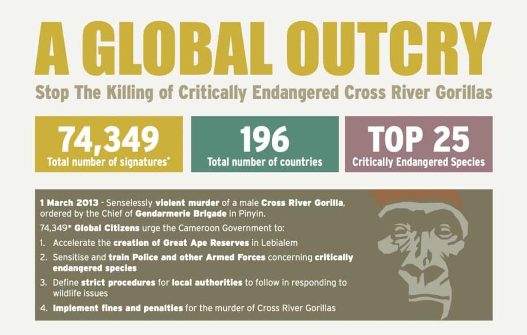 protect cross river gorilla