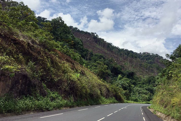 An animated look at the impacts of road development on deforestation in South West Cameroon