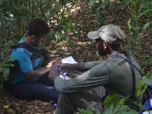 Great apes researcher Gwendolyn Angwa recording chimpanzee data in Tofala Hill Wildlife Sanctuary.