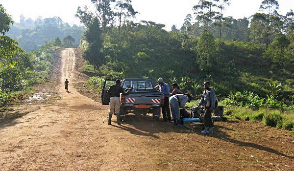 BANCK Community Forest in Forest Corridor Approved by Cameroon Government