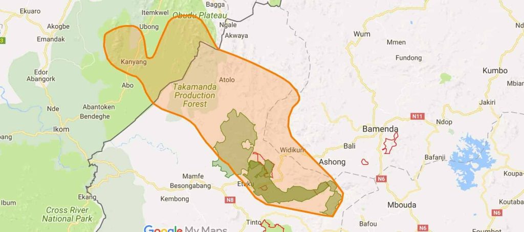 cross river gorilla project location
