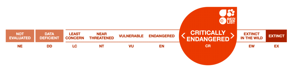 IUCN red list