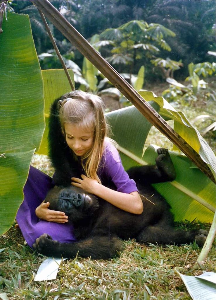 Nyango (Photo credit: Dennis Punches)