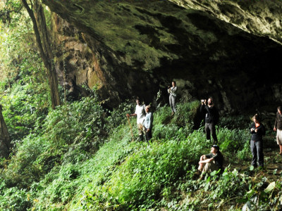 gorilla volunteer programme