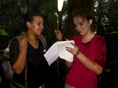 gorilla volunteer programme