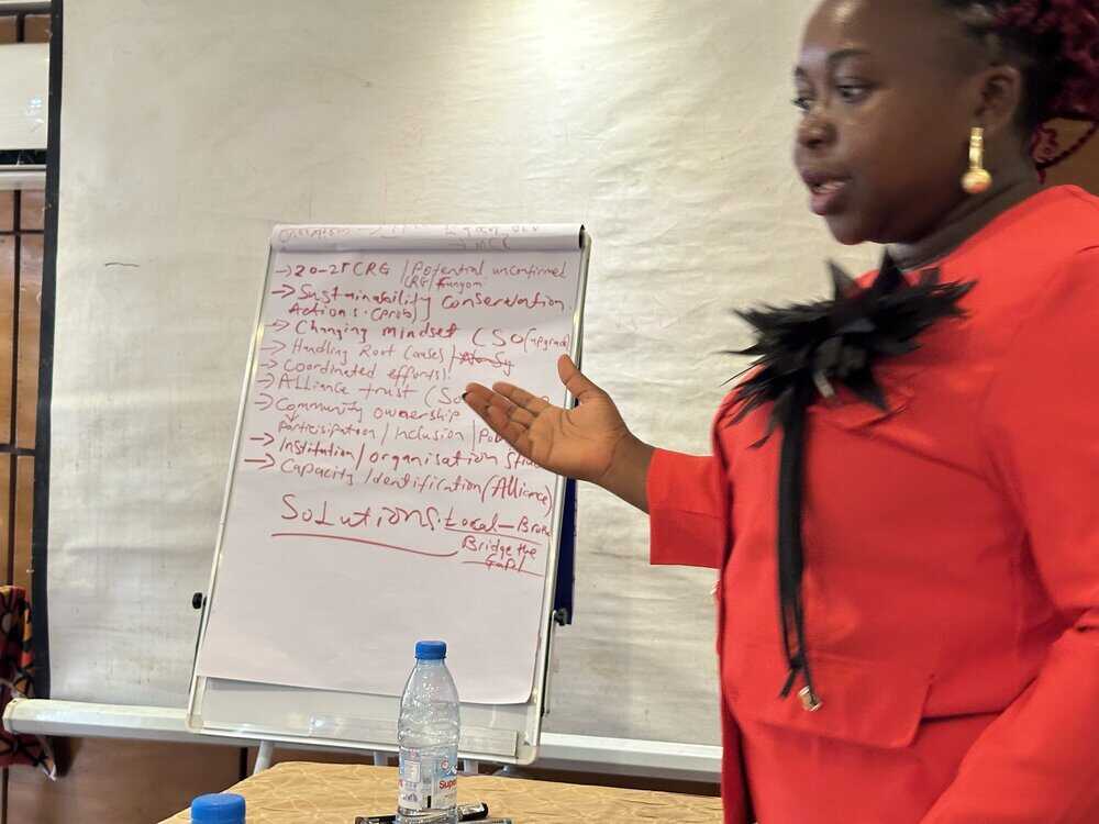 Cross River gorilla workshop