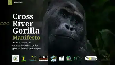 Cross River Gorilla Manifesto