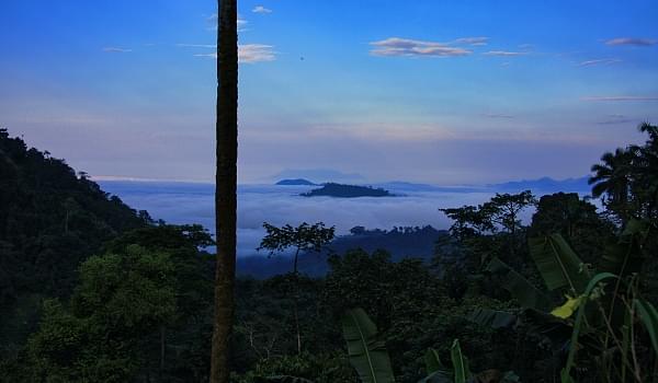 cross river gorilla corridor