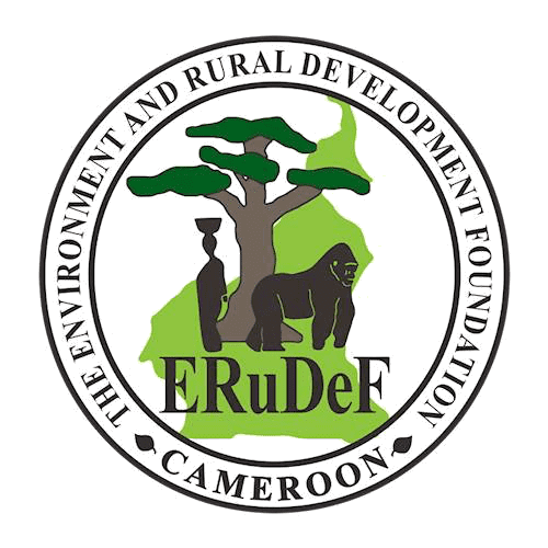 erudef logo
